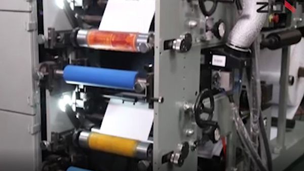 6 Color Flexographic Printing Machine with Three Die Cutting Station, LRY-330/450