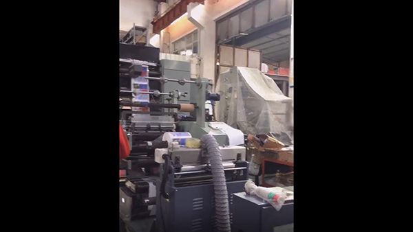 6 Color Flexographic Printing Machine with Three Die Cutting Station, LRY-330/450